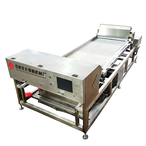 履帶式色選機(jī)分選燃燒爐渣玻璃混合料